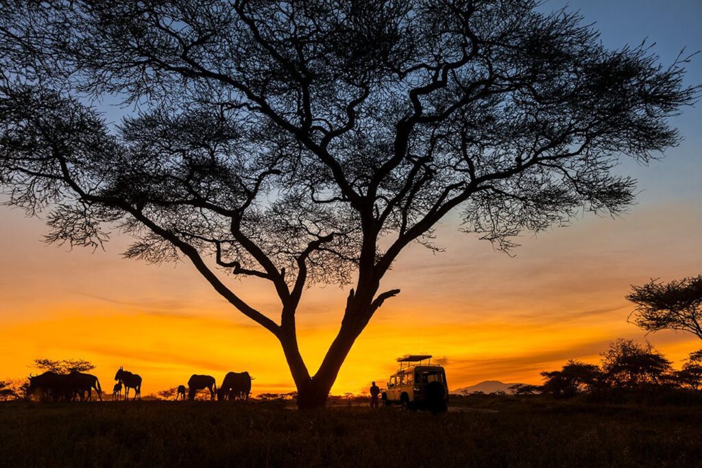 1714845751 sunset private safari silhouette