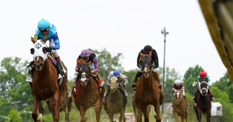 preakness horse racing 02342