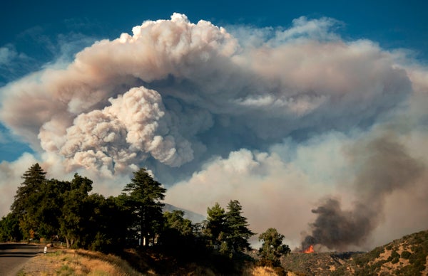 Pyrocumulus cloud towers into the sky