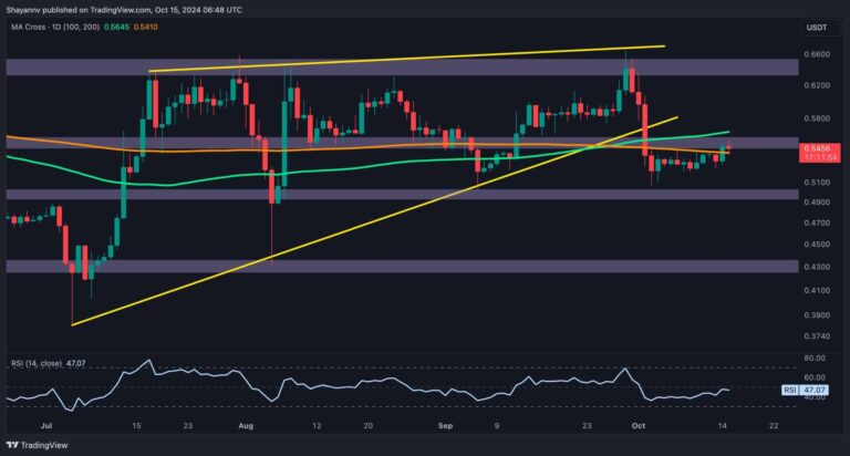 XRP D 2 scaled