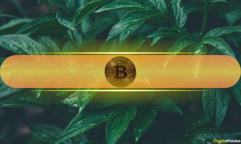 bitcoin green cover 2