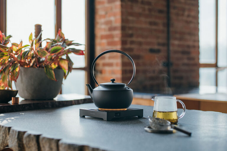 Balmuda The Moon Kettle 1