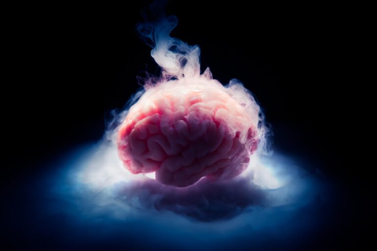 Brain Consciousness