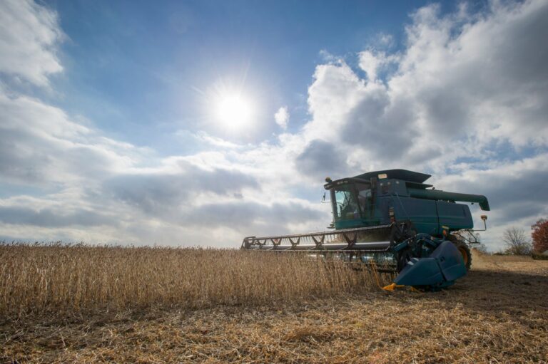 Harvesting soybeans in Jarrettsville Maryland USA