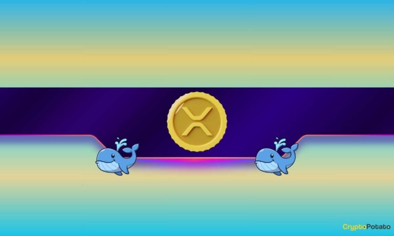 XRPWhales CB