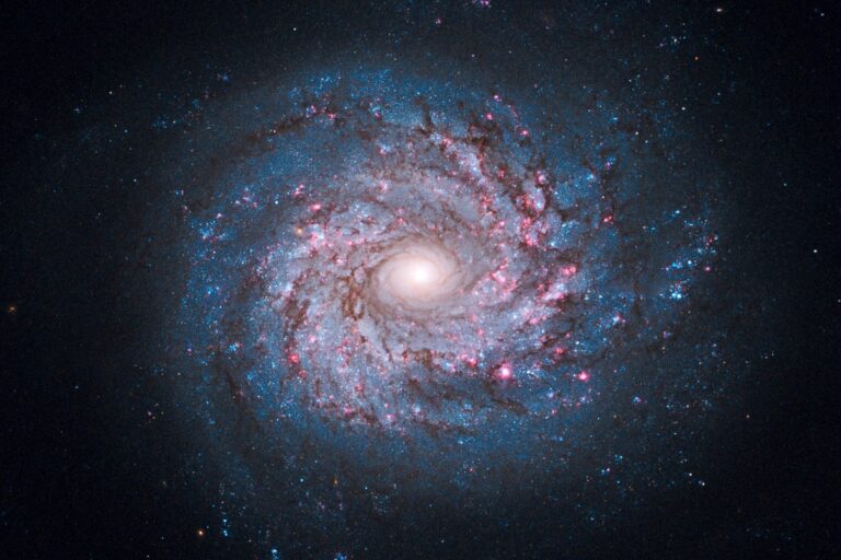 spiral galaxy ngc 3982